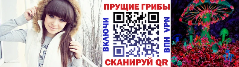 Псилоцибиновые грибы Magic Shrooms  Михайловск 
